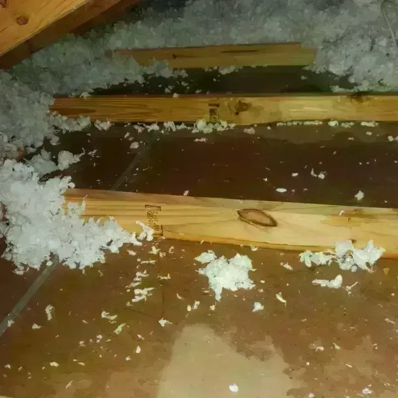 Attic Water Damage in Richmond Hill, GA