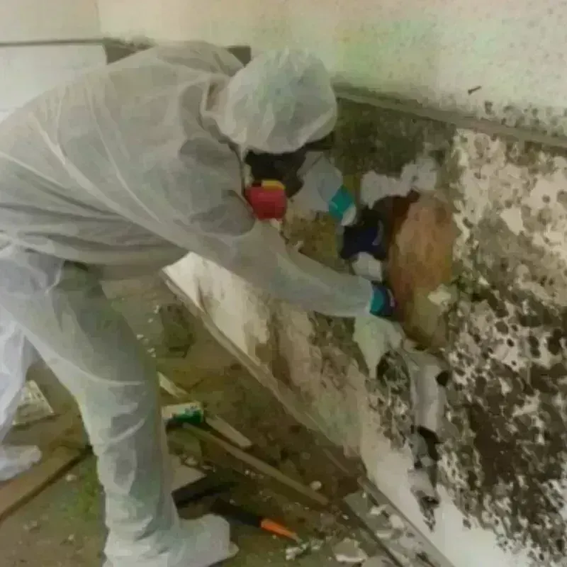 Mold Remediation and Removal in Richmond Hill, GA