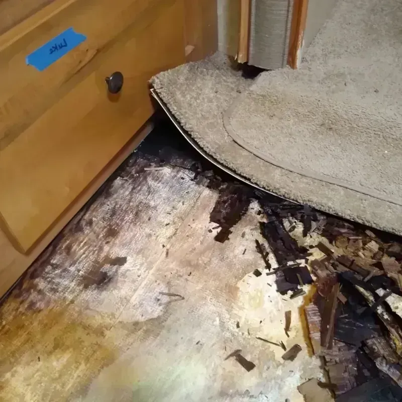 Wood Floor Water Damage in Richmond Hill, GA